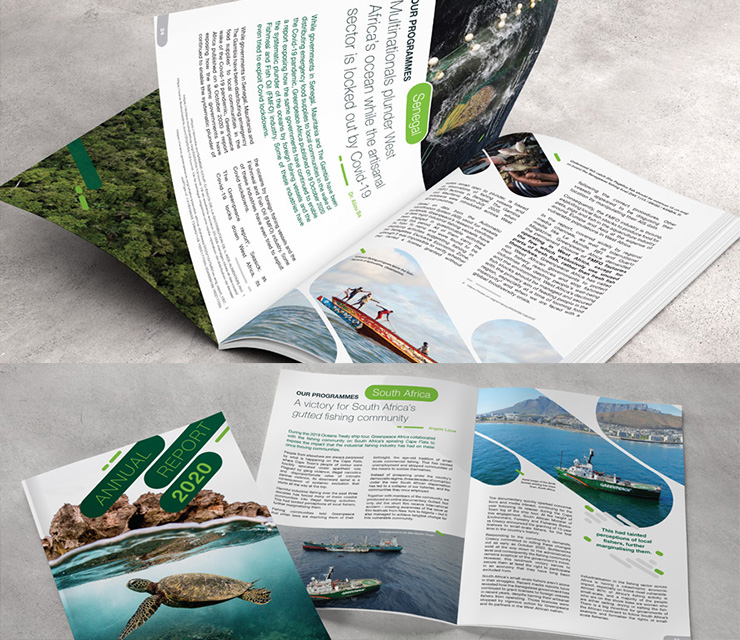 Report Layout and Design