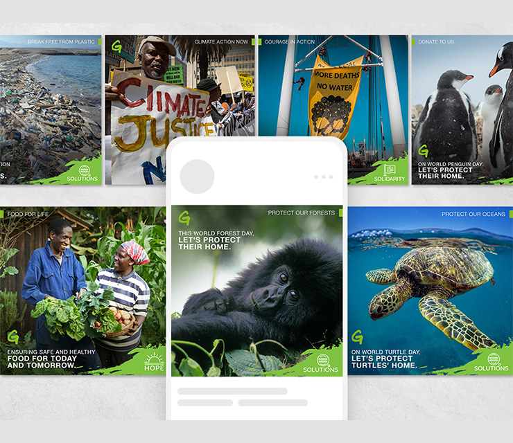 Greenpeace Social Media